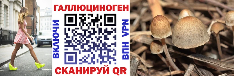 Псилоцибиновые грибы мицелий  Чехов 